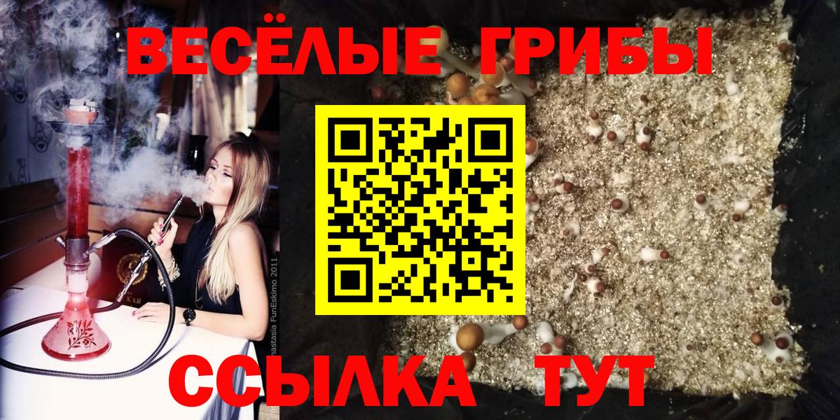 где купить наркотик  Вход с VPN  Серов  Псилоцибиновые грибы Psilocybe 